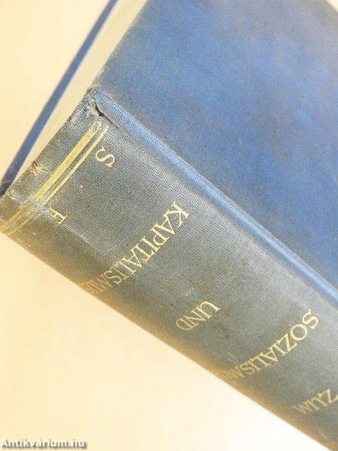 Wegweiser für die intelligente Frau zum Sozialismus und Kapitalismus