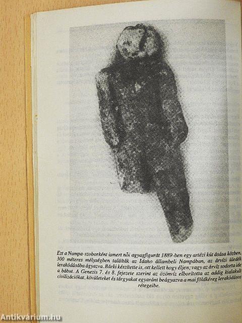 Noé bárkája nyomában