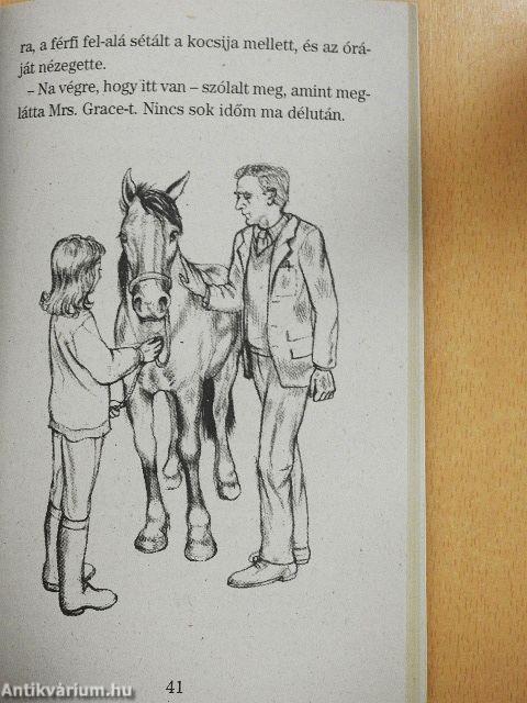 Öreg póni új gazdája