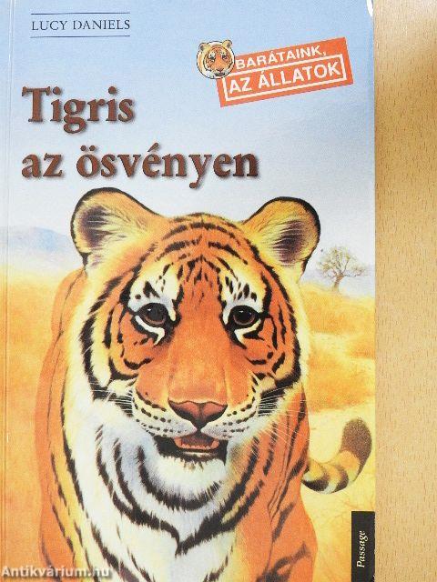 Tigris az ösvényen