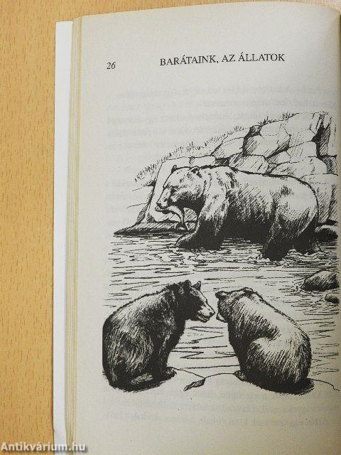 Medvék az istállóban