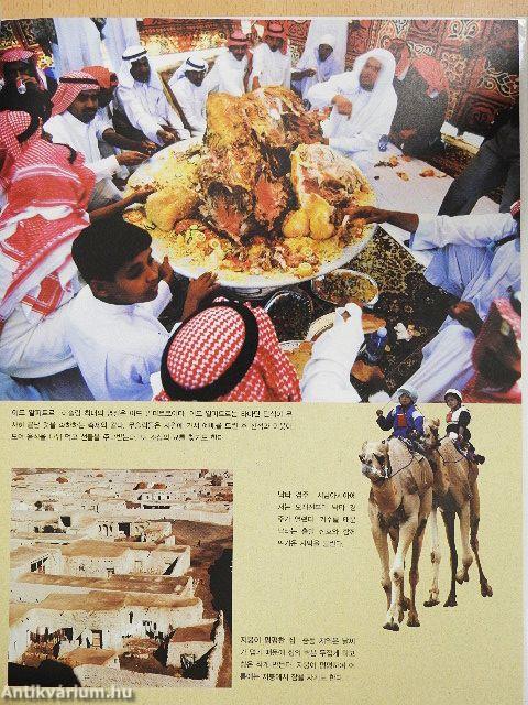 Irán, Irak, Egyiptom (koreai nyelvű)