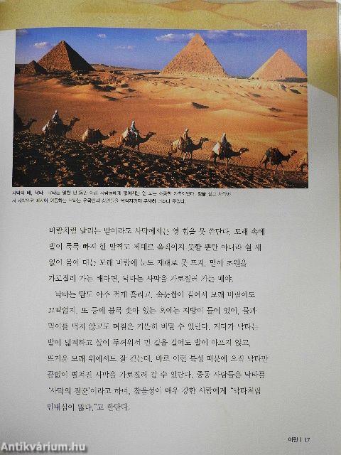 Irán, Irak, Egyiptom (koreai nyelvű)