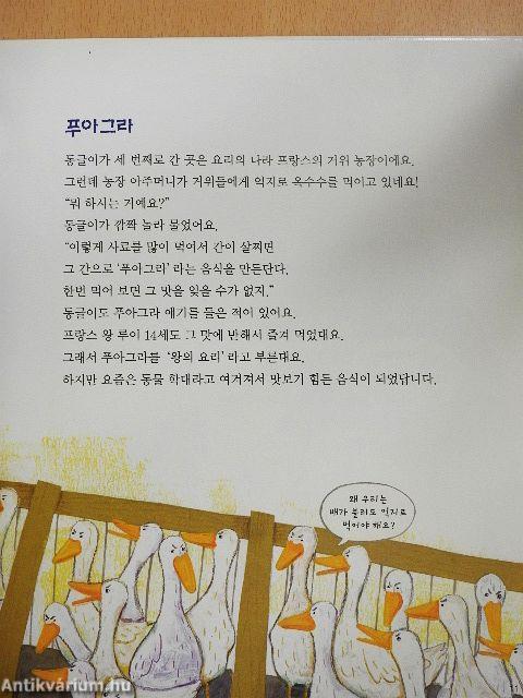 Szúnyogszemgolyók és grillezett pókok (koreai nyelvű)