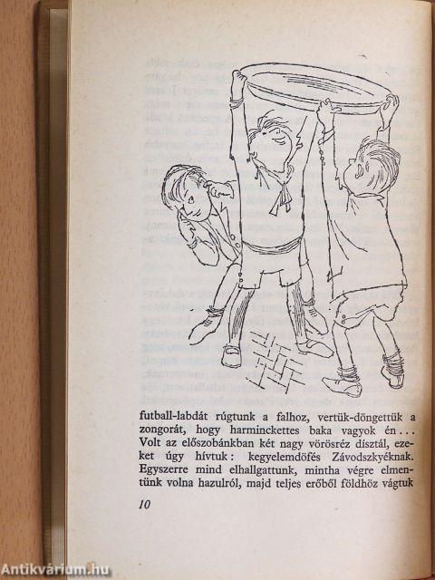Irodalmi történetek