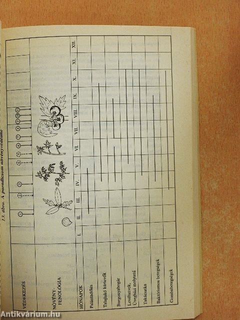 Milyen szert használjunk?