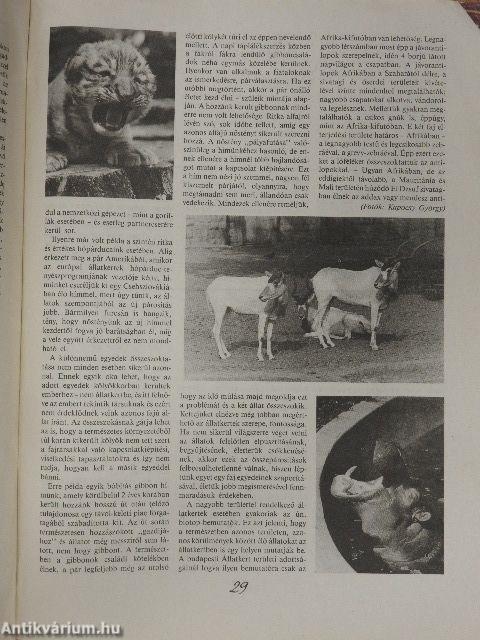 Az én újságom 1991/4.