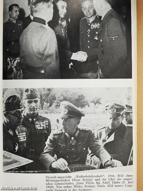 Endkampf an der Donau 1944/45