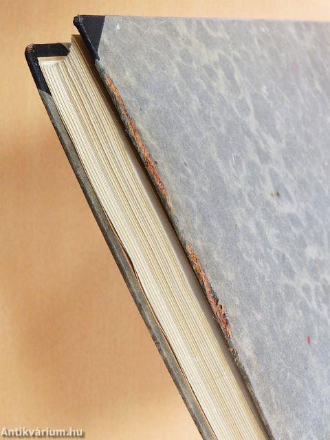 Az ideggyógyászat vezérfonala