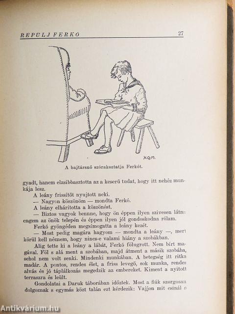 Repülj Ferkó csudálatos kalandjai