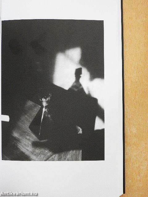 Próza, vers, esszé, montázs