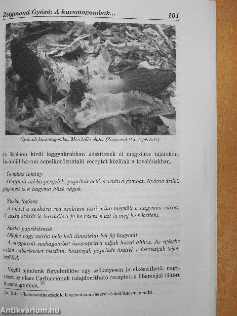 Székelyföld 2008. május