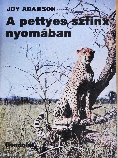 A pettyes szfinx nyomában