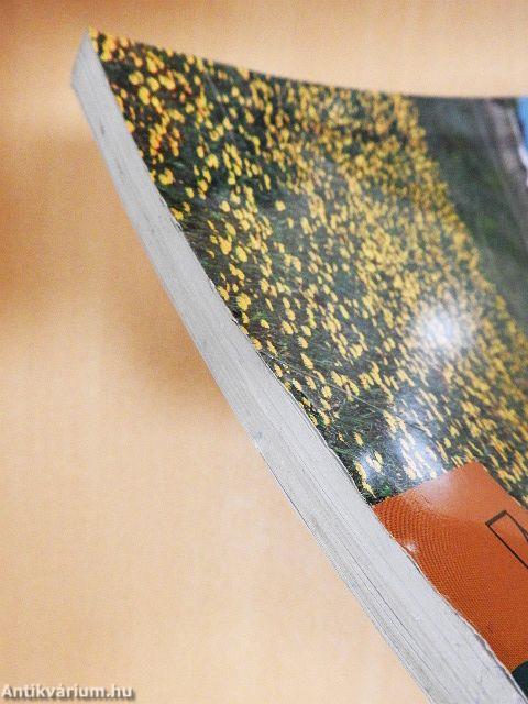 Európa közepén 8.