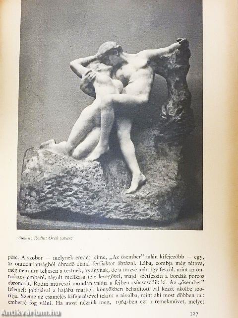 Lányok Évkönyve 1964