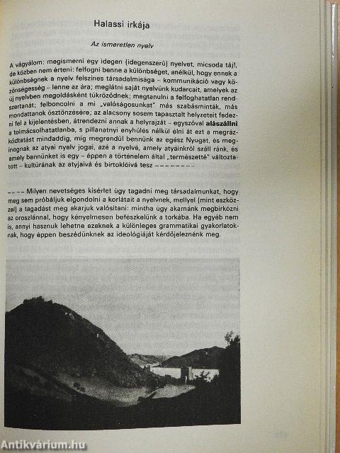 Bevezetés a szépirodalomba