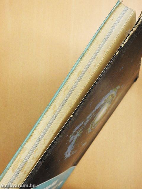 A Világegyetem gyermekei