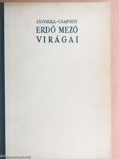 Erdő mező virágai 