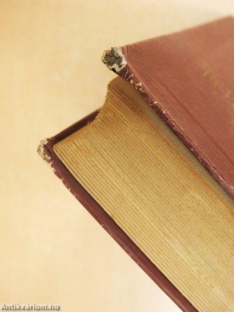 Kortársak nagy írókról 