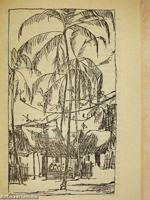 A mangófa árnyékában