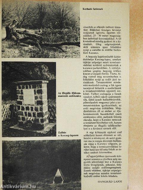 Föld és Ég 1980. január-december