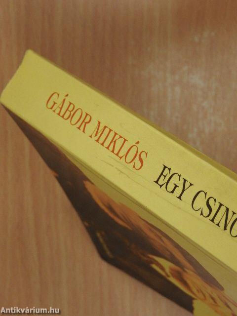 Egy csinos zseni
