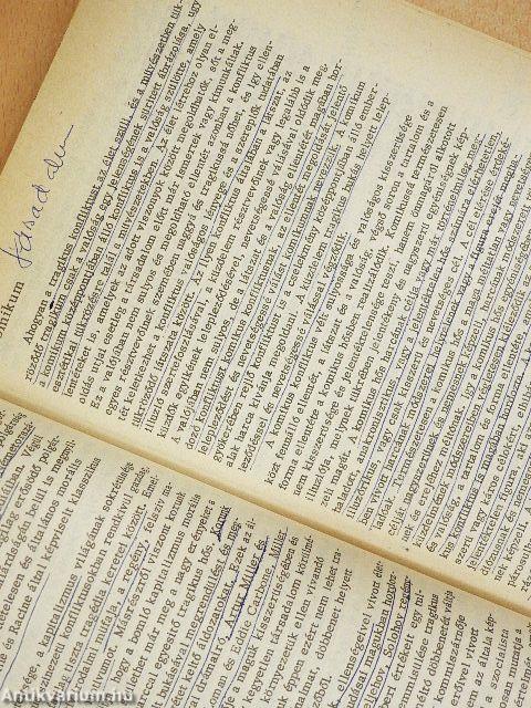 Az általános esztétika kérdései