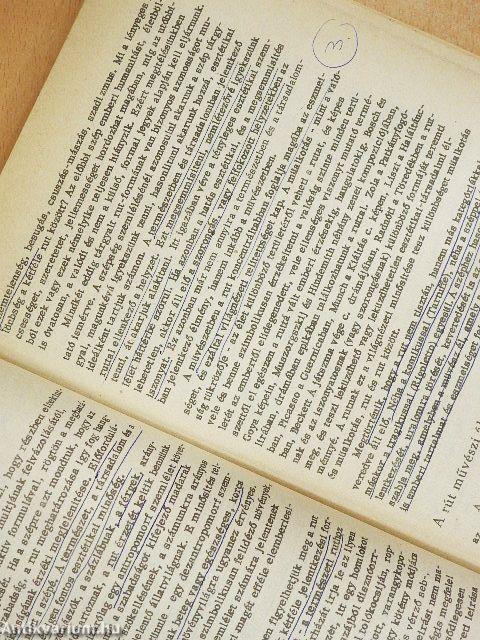 Az általános esztétika kérdései