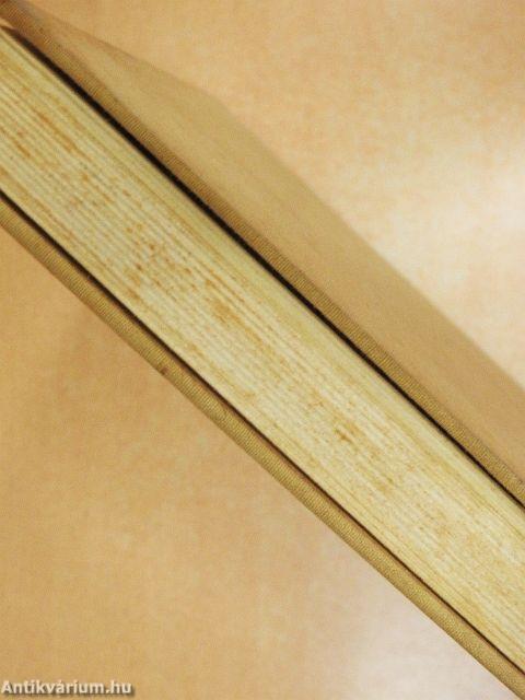 Vásárhelyi festők