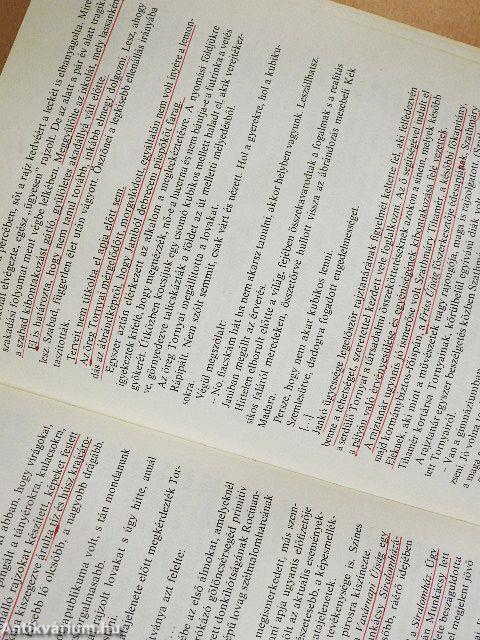 Vásárhelyi festők