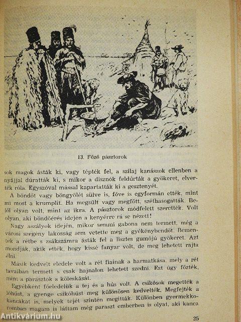 Nagykunsági krónika