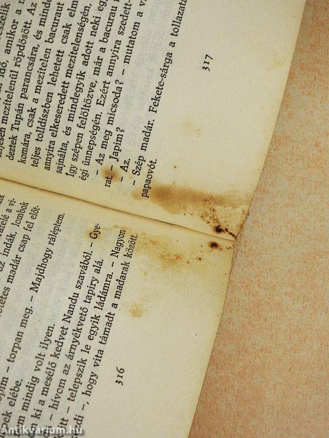 Horgászom az Amazonason