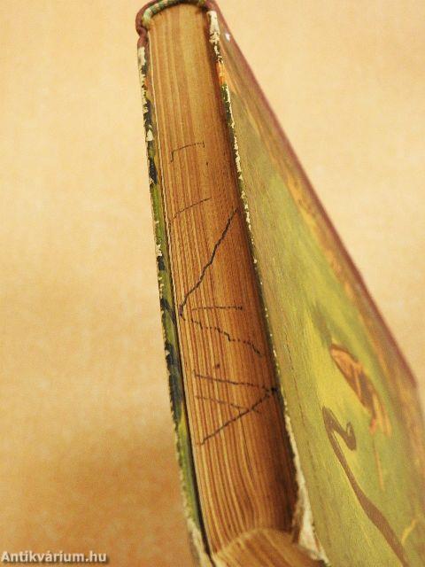 Az óriáskígyók földjén