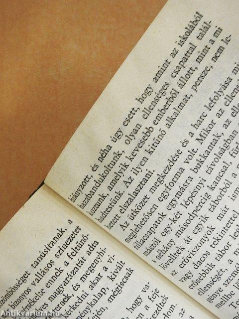 A tóparti gyilkosság