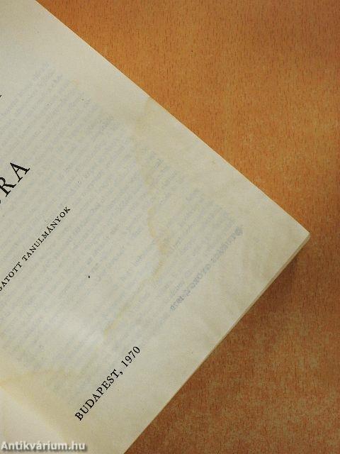 Magyar irodalom - Magyar kultúra