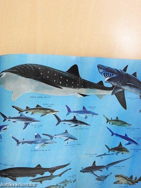 National Geographic February 1968