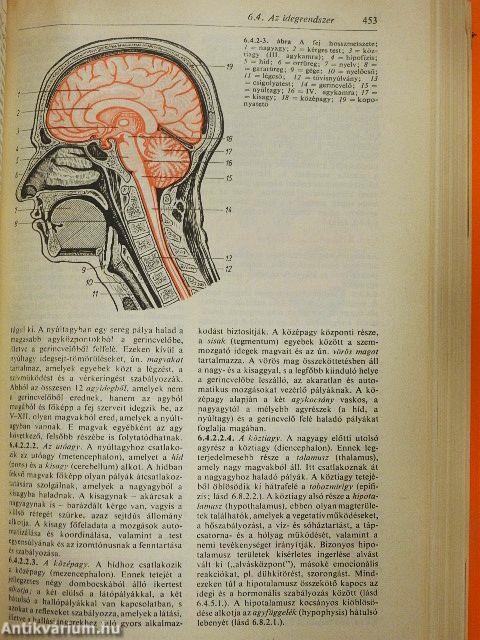 Természettudományi kisenciklopédia