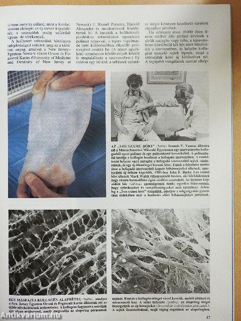 Tudomány 1986. december