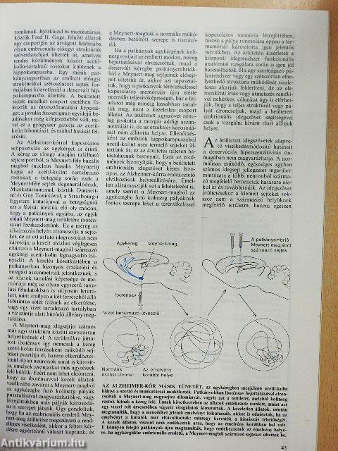 Tudomány 1986. október