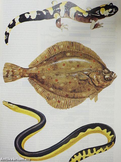 Tudomány 1986. január