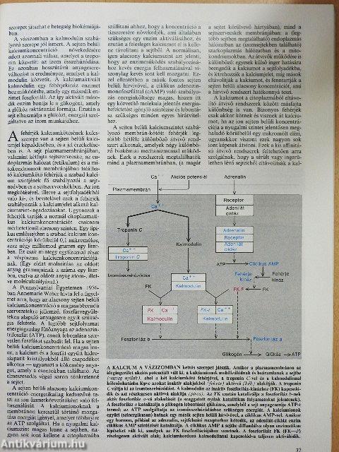 Tudomány 1986. január