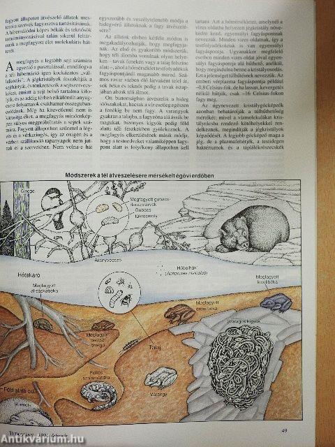 Tudomány 1991. február