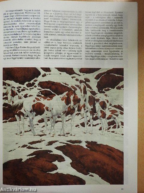 Tudomány 1991. február