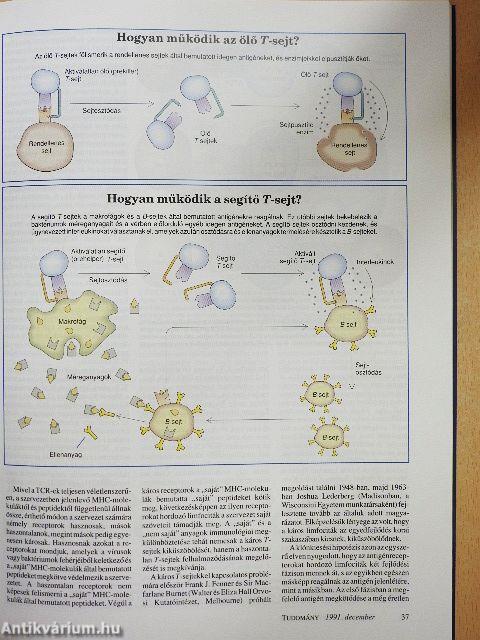 Tudomány 1991. december