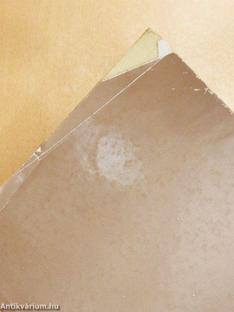 A Nyíregyházi Jósa András Múzeum évkönyve XI.