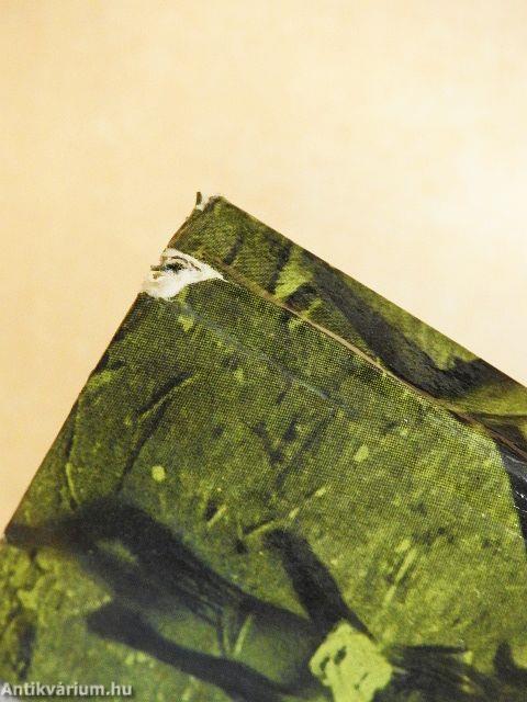 Egyszemélyes expedíció