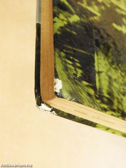 Egyszemélyes expedíció