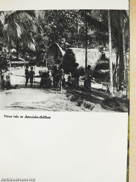 Egyszemélyes expedíció