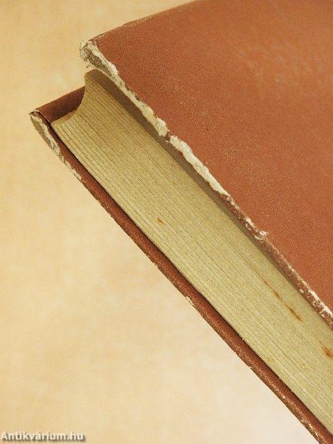 Harc a szalamandrákkal