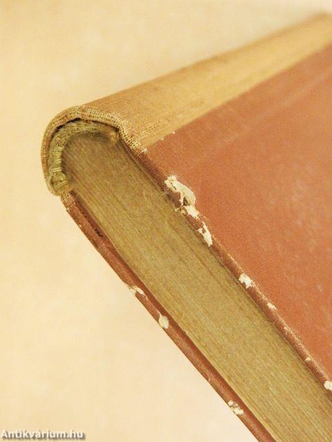 Harc a szalamandrákkal